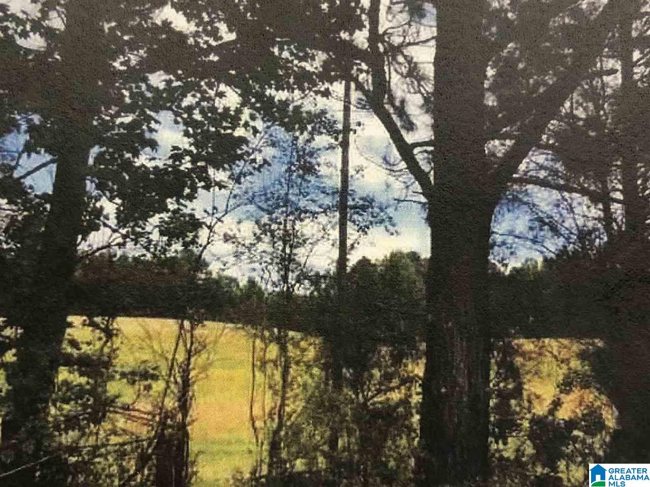 1080 Bob Glenn Road, Unit 1 Morris, AL 35116 - Photo 1 of 2