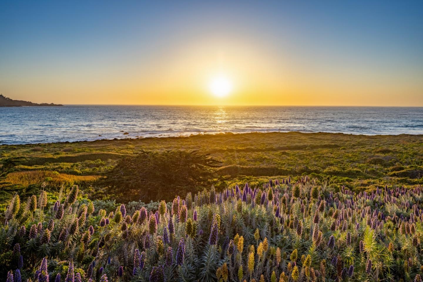 2715 Ribera Road Carmel, CA 93923 - Photo 16 of 41 a view of an ocean