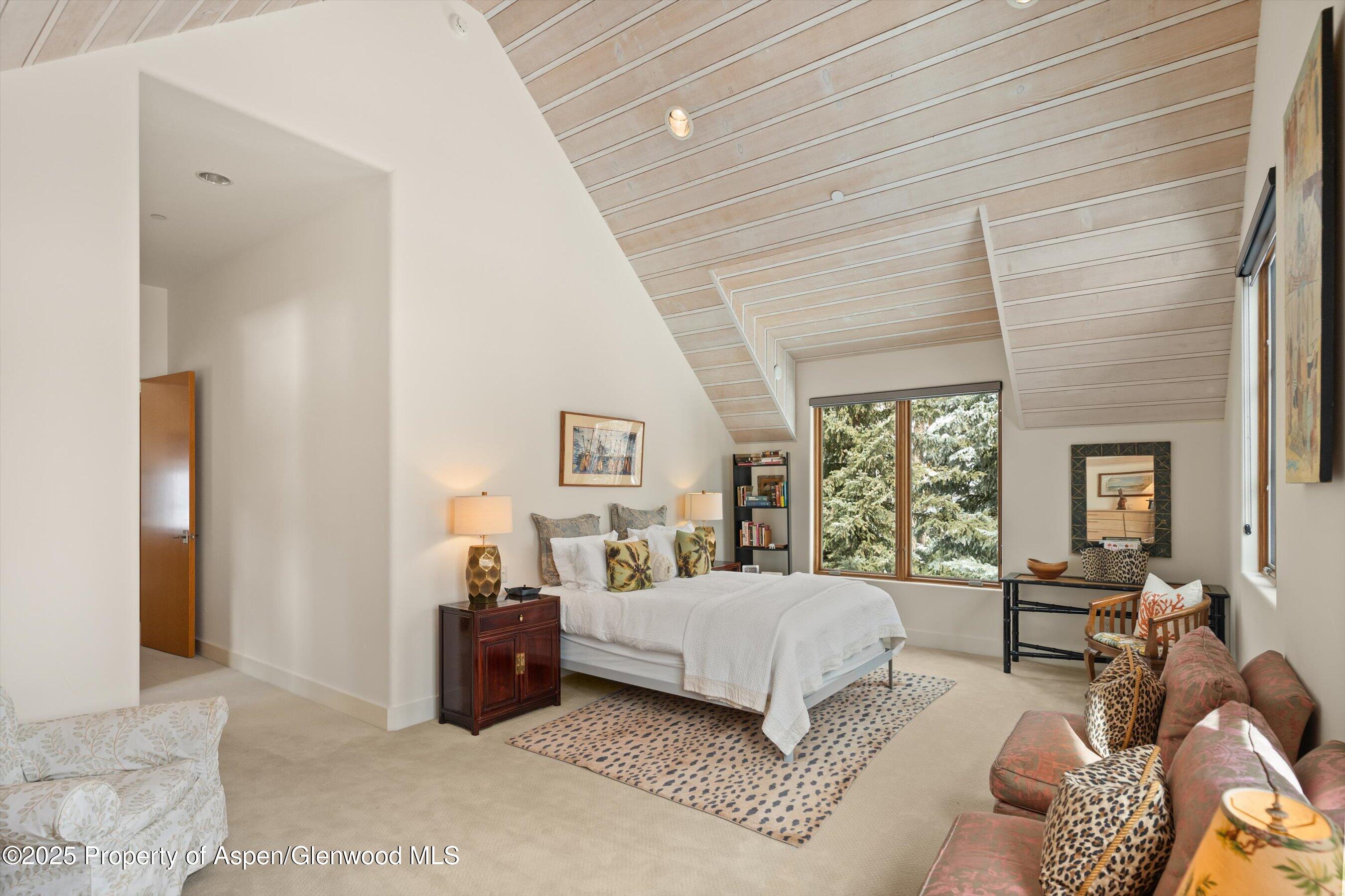 256 Twining Flats Road Aspen, CO 81611 - Photo 18 of 39 36-256TwiningFlats_25021736