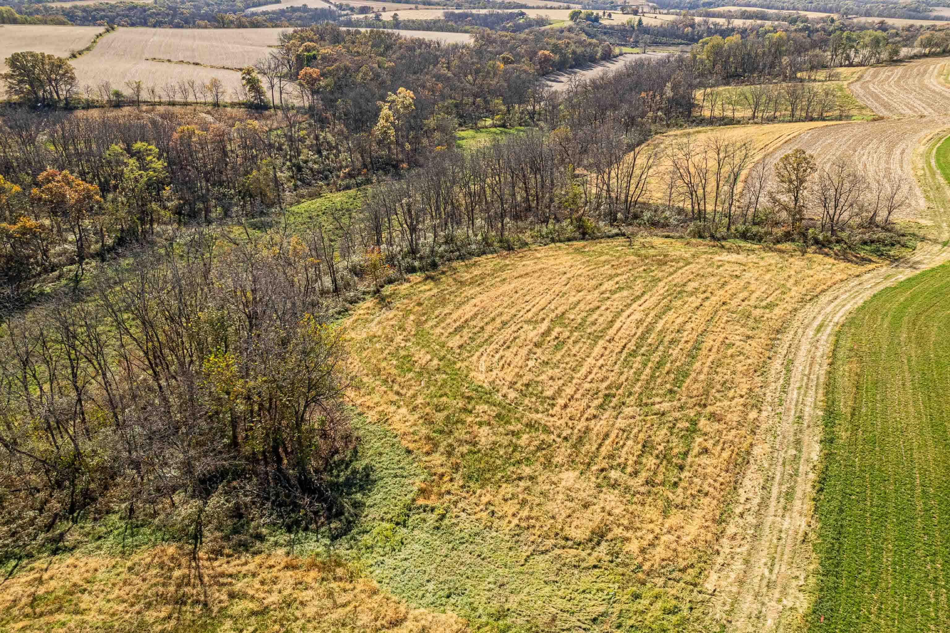 Lot 4 Prairie View Argyle, WI 53504 - Photo 11 of 54