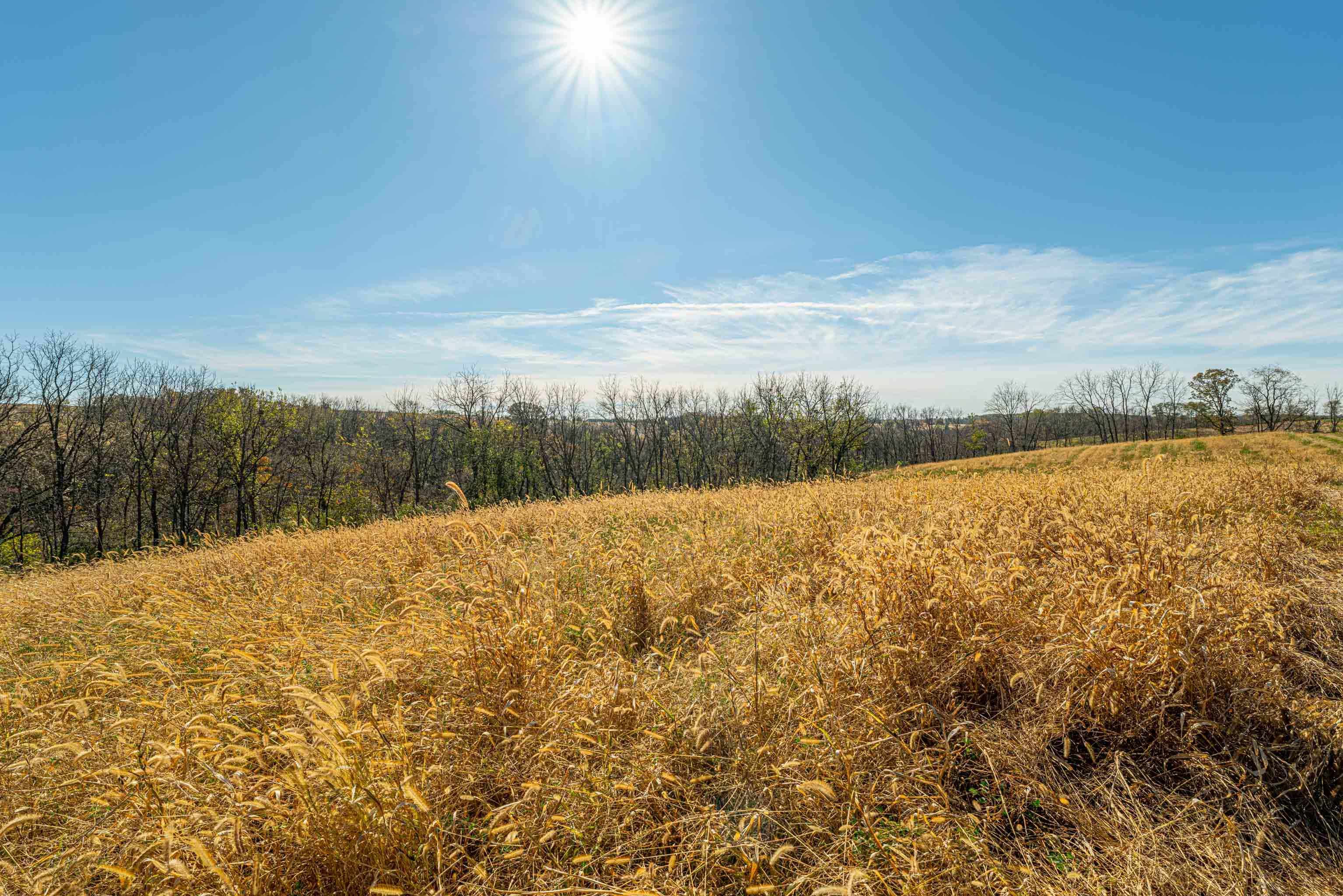 Lot 4 Prairie View Argyle, WI 53504 - Photo 12 of 54