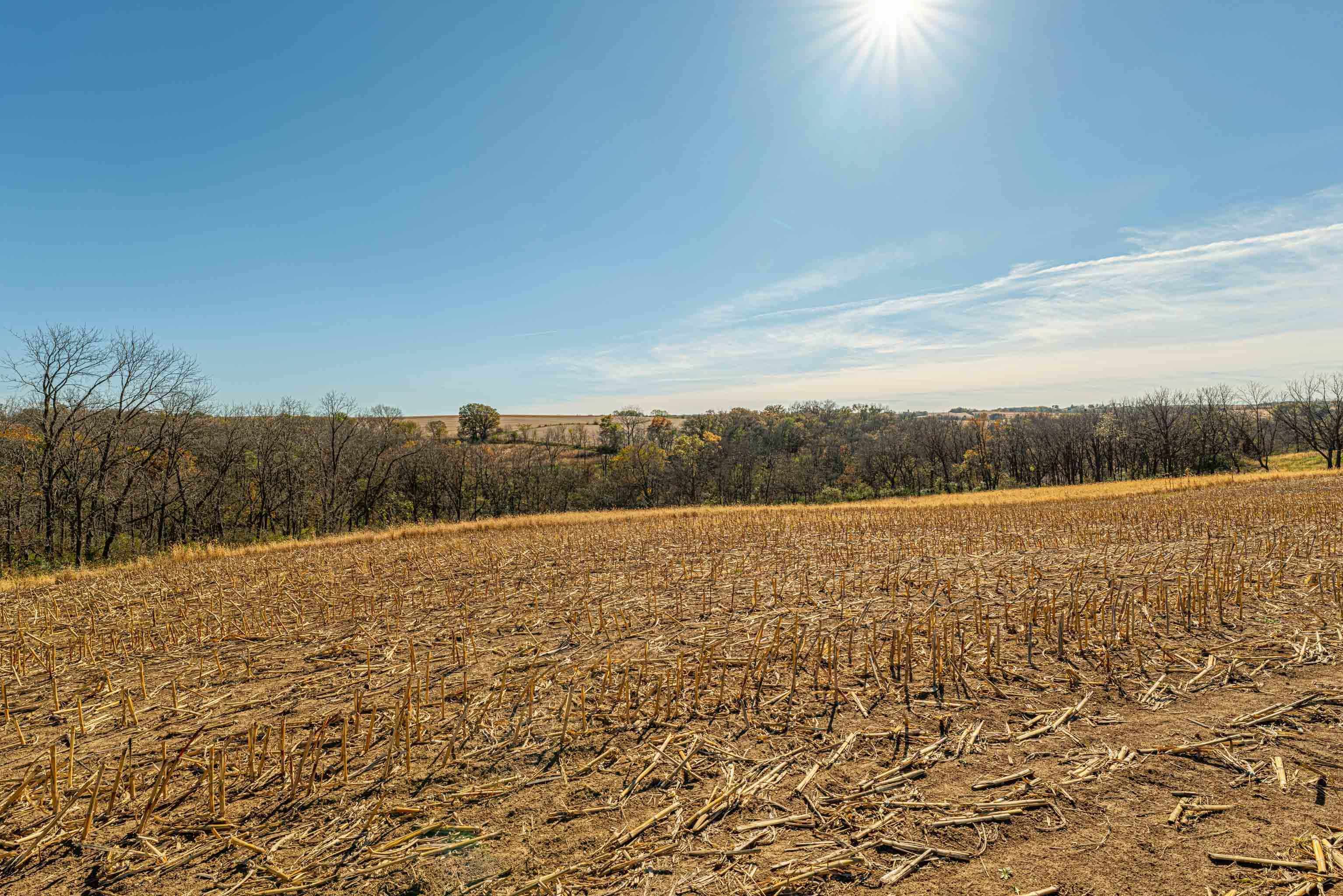 Lot 4 Prairie View Argyle, WI 53504 - Photo 13 of 54