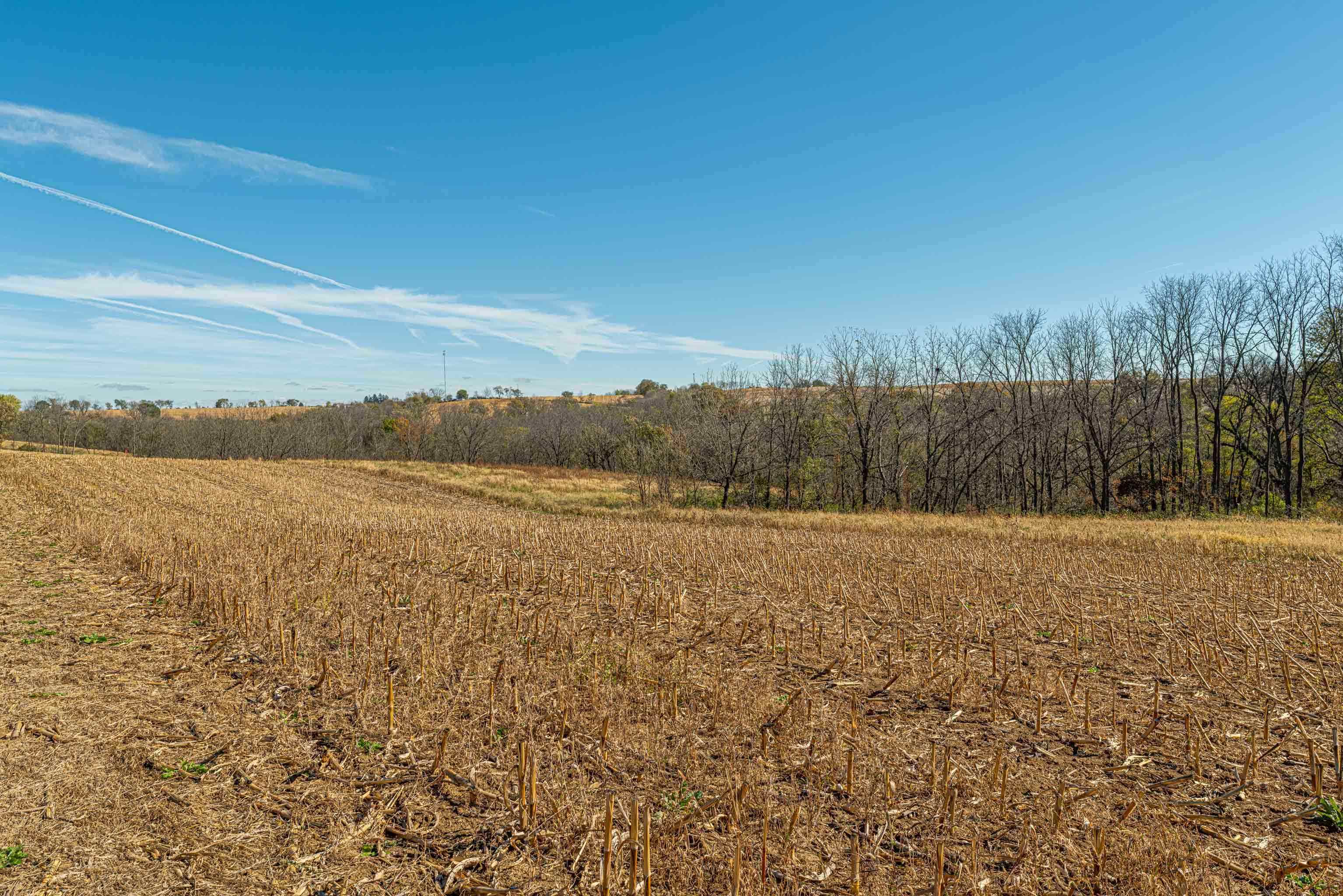 Lot 4 Prairie View Argyle, WI 53504 - Photo 14 of 54