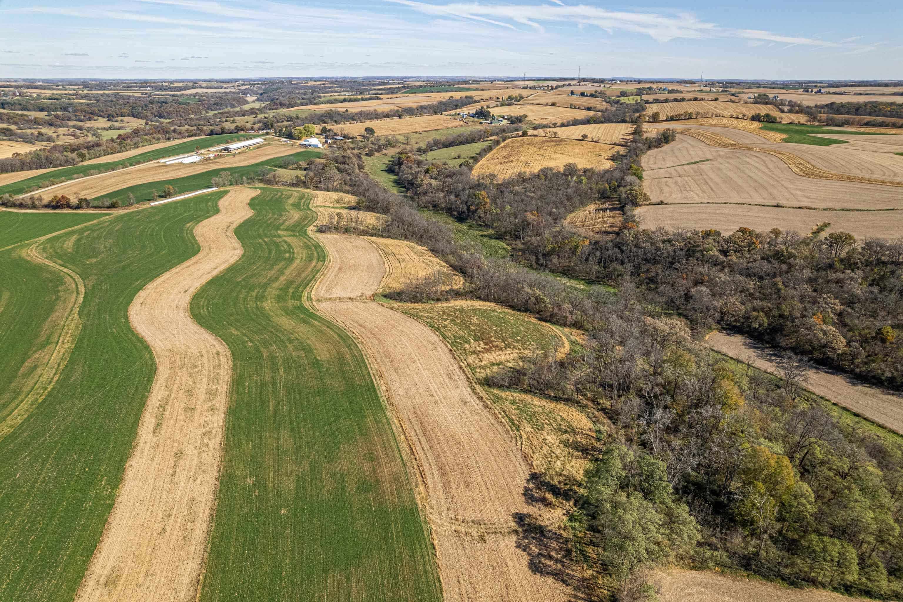 Lot 4 Prairie View Argyle, WI 53504 - Photo 15 of 54
