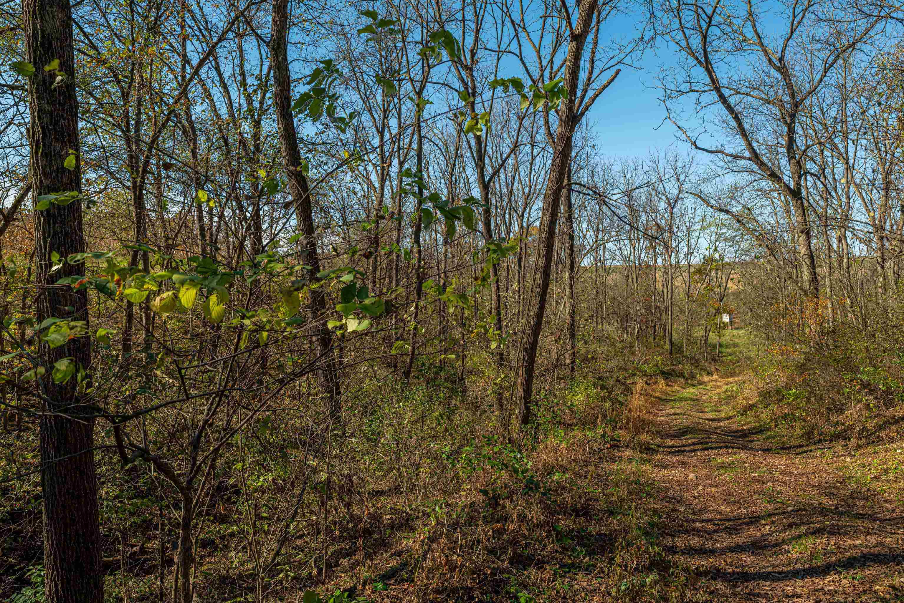 Lot 4 Prairie View Argyle, WI 53504 - Photo 25 of 54