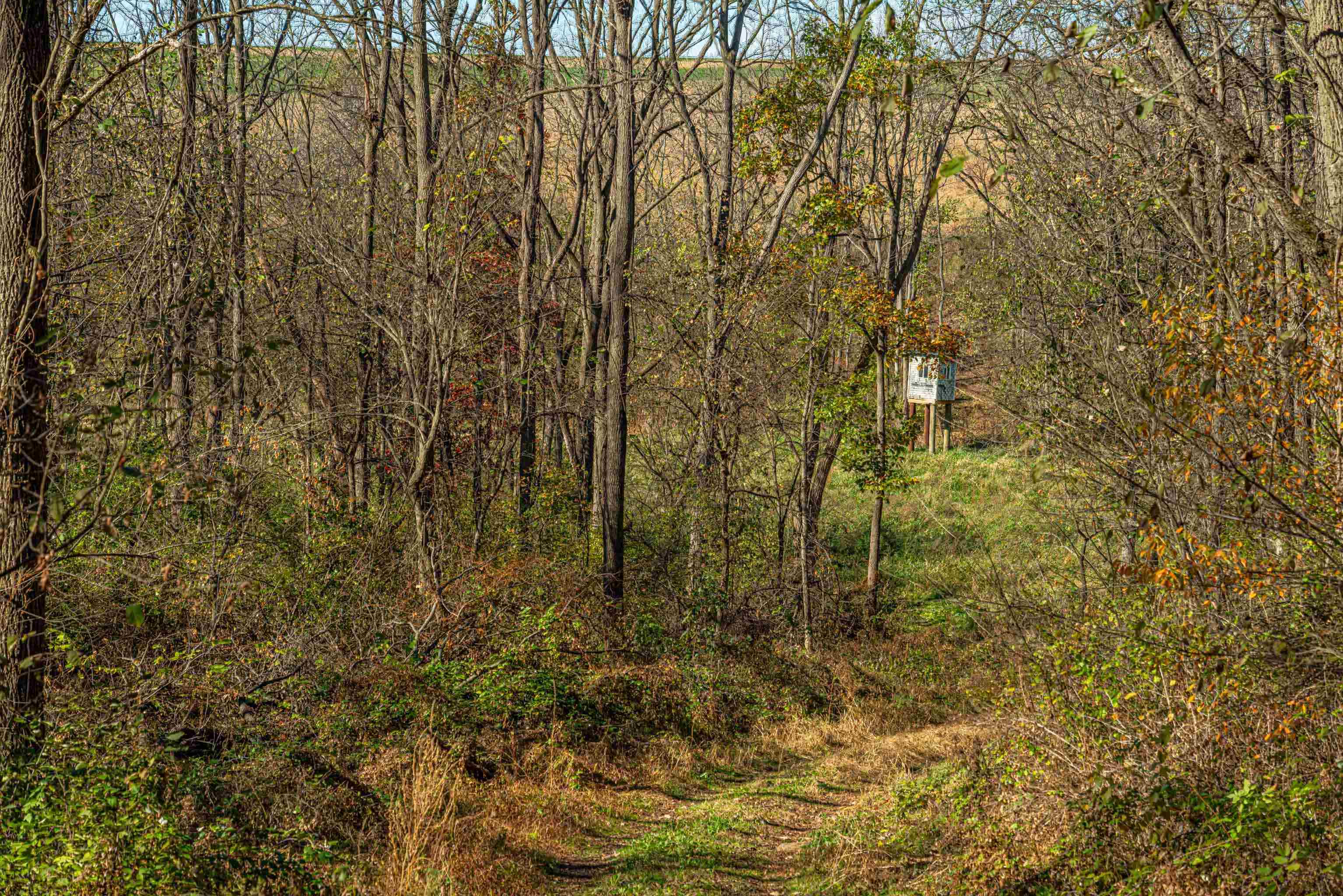 Lot 4 Prairie View Argyle, WI 53504 - Photo 26 of 54