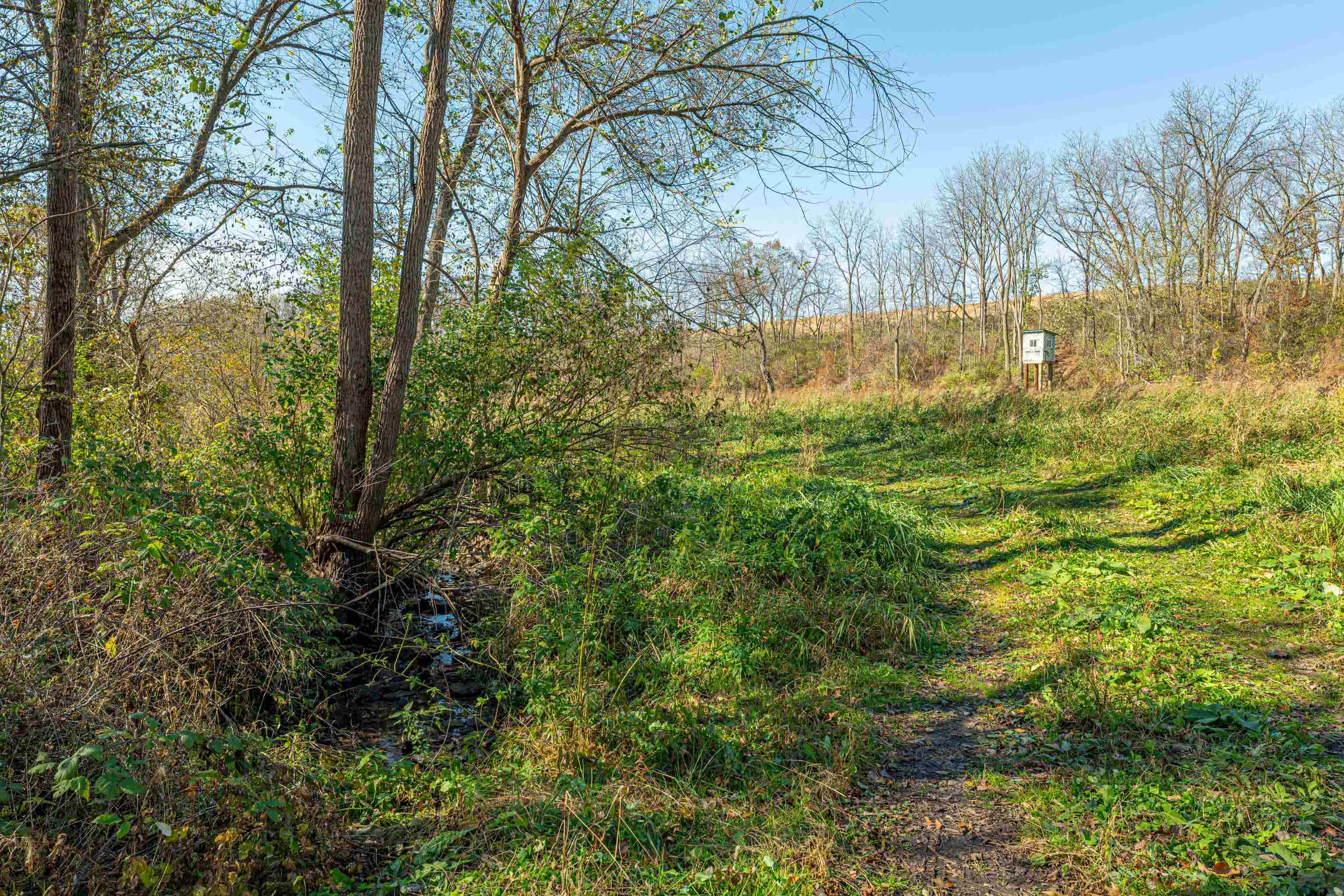Lot 4 Prairie View Argyle, WI 53504 - Photo 28 of 54
