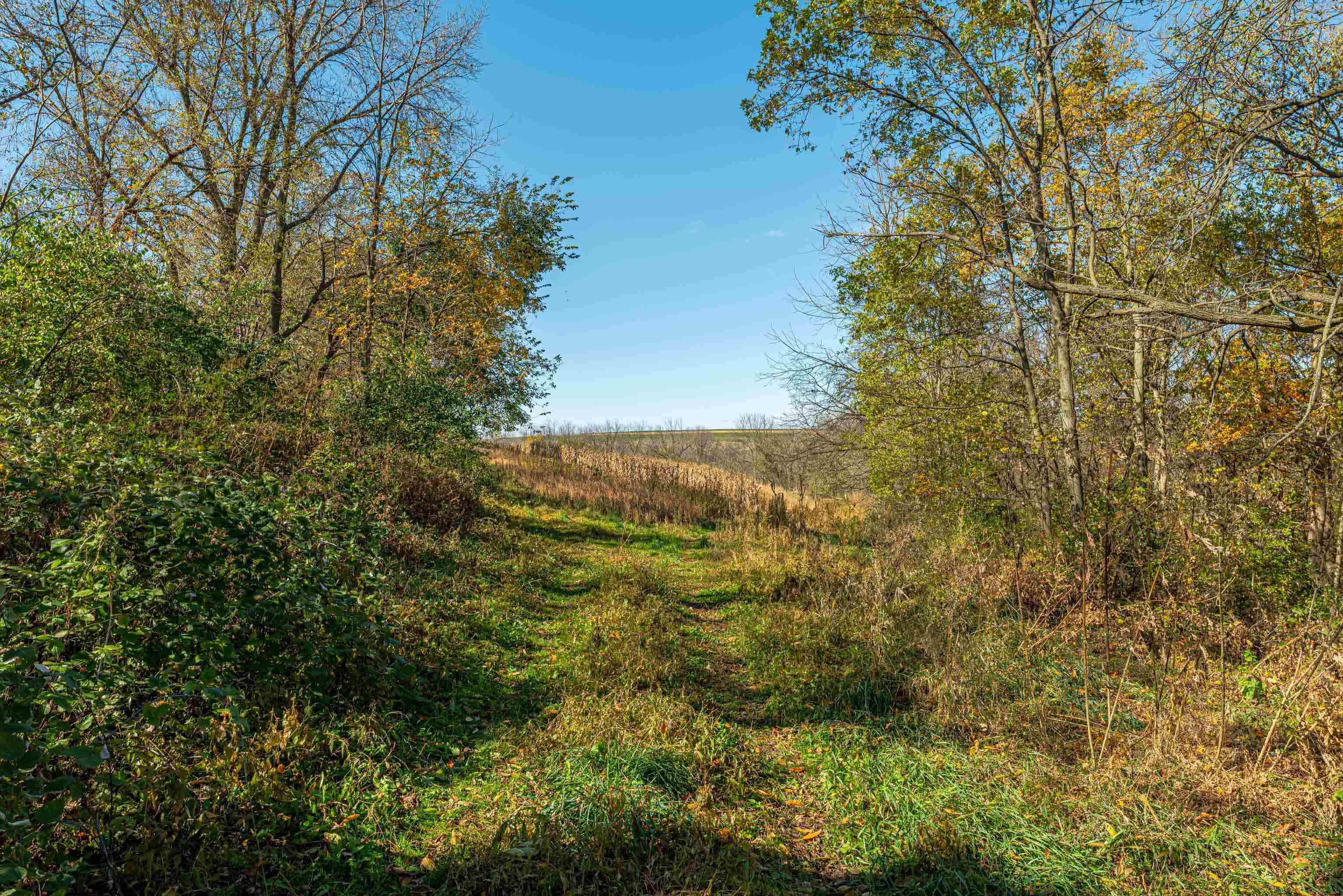 Lot 4 Prairie View Argyle, WI 53504 - Photo 32 of 54