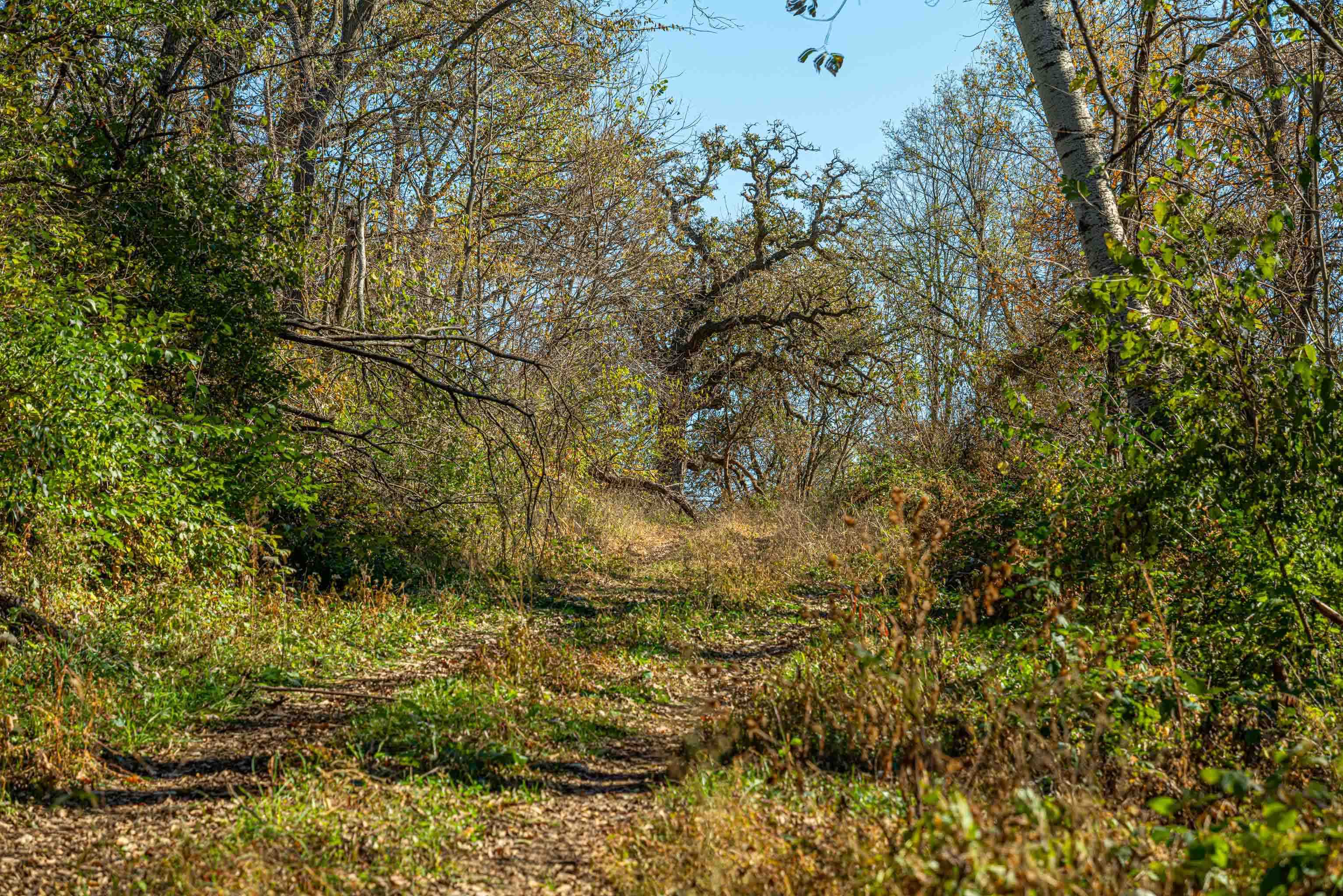 Lot 4 Prairie View Argyle, WI 53504 - Photo 34 of 54
