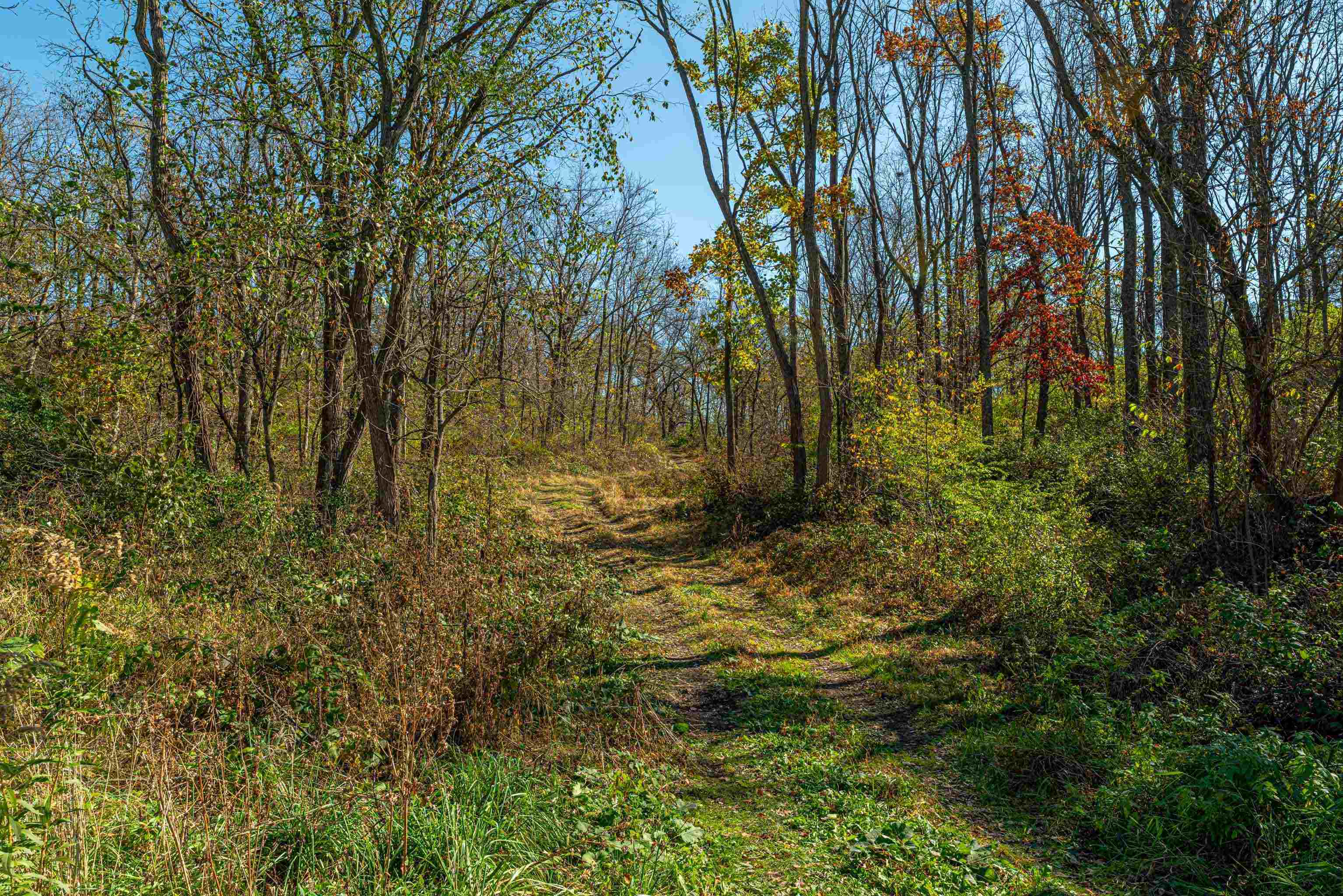 Lot 4 Prairie View Argyle, WI 53504 - Photo 35 of 54