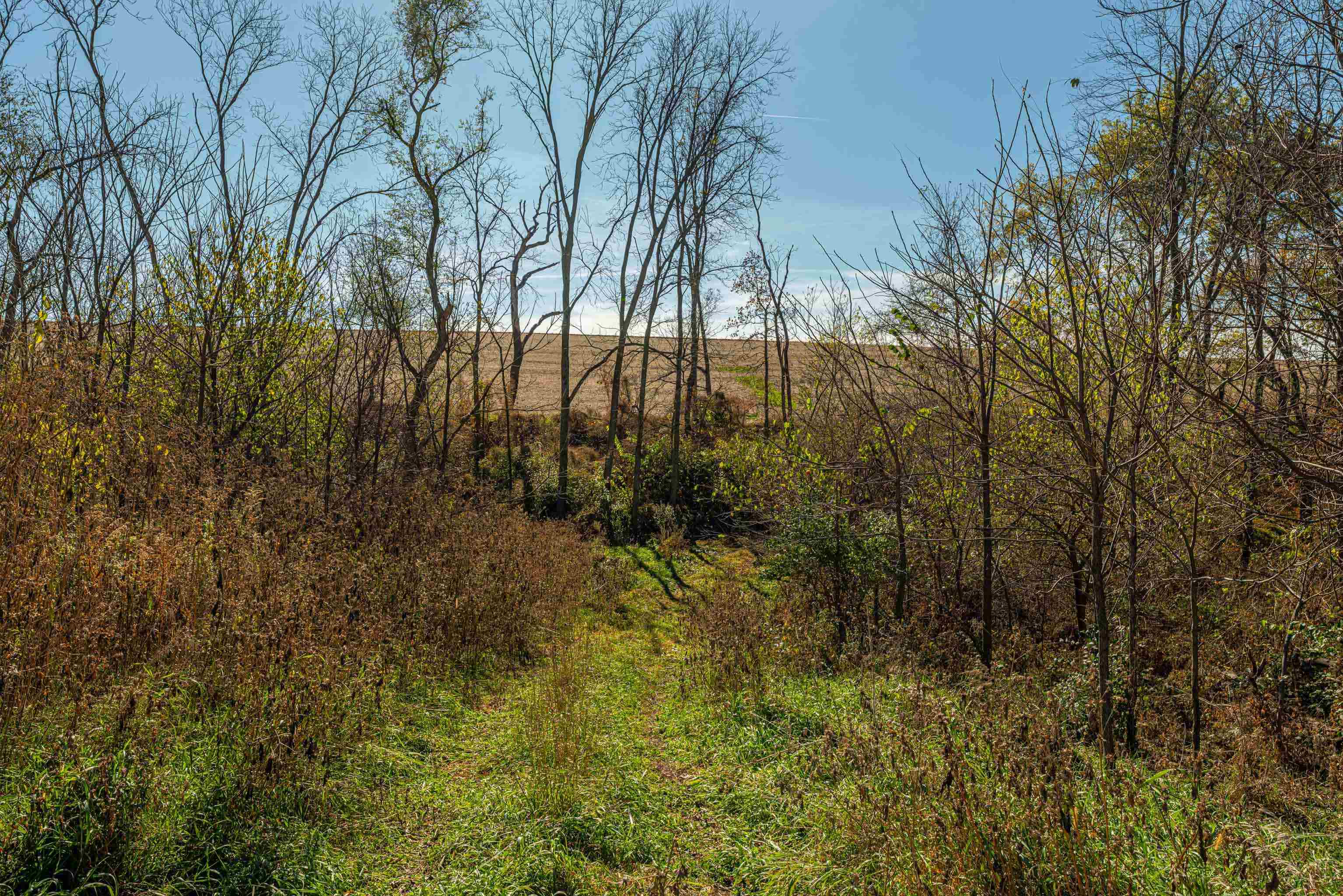 Lot 4 Prairie View Argyle, WI 53504 - Photo 36 of 54