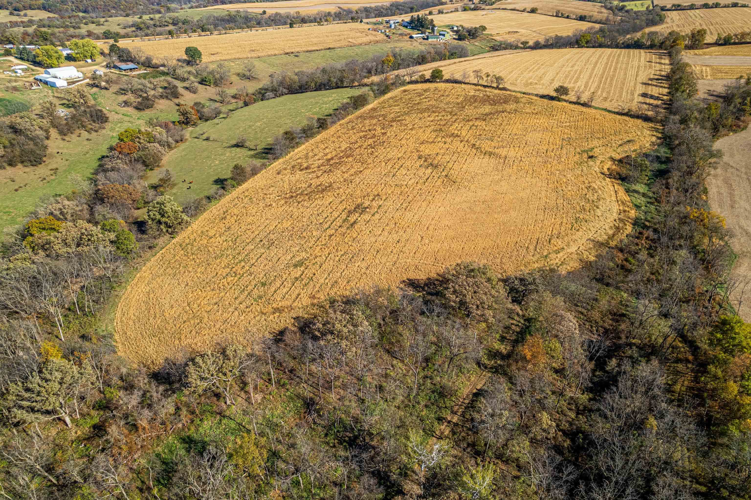 Lot 4 Prairie View Argyle, WI 53504 - Photo 37 of 54