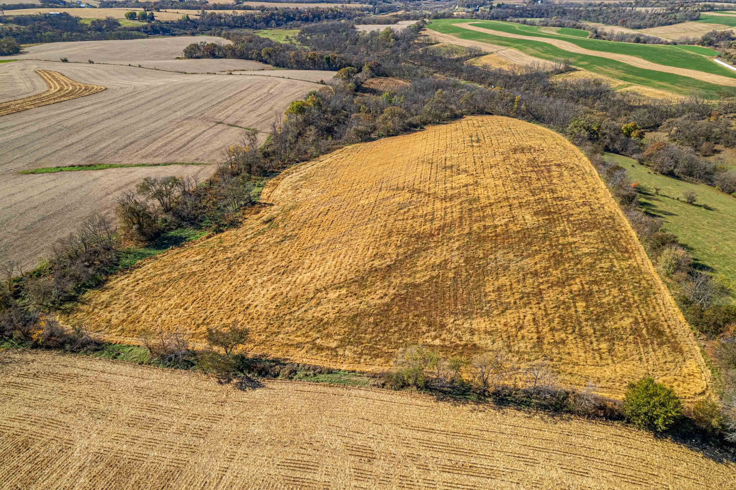 Lot 4 Prairie View Argyle, WI 53504 - Photo 38 of 54