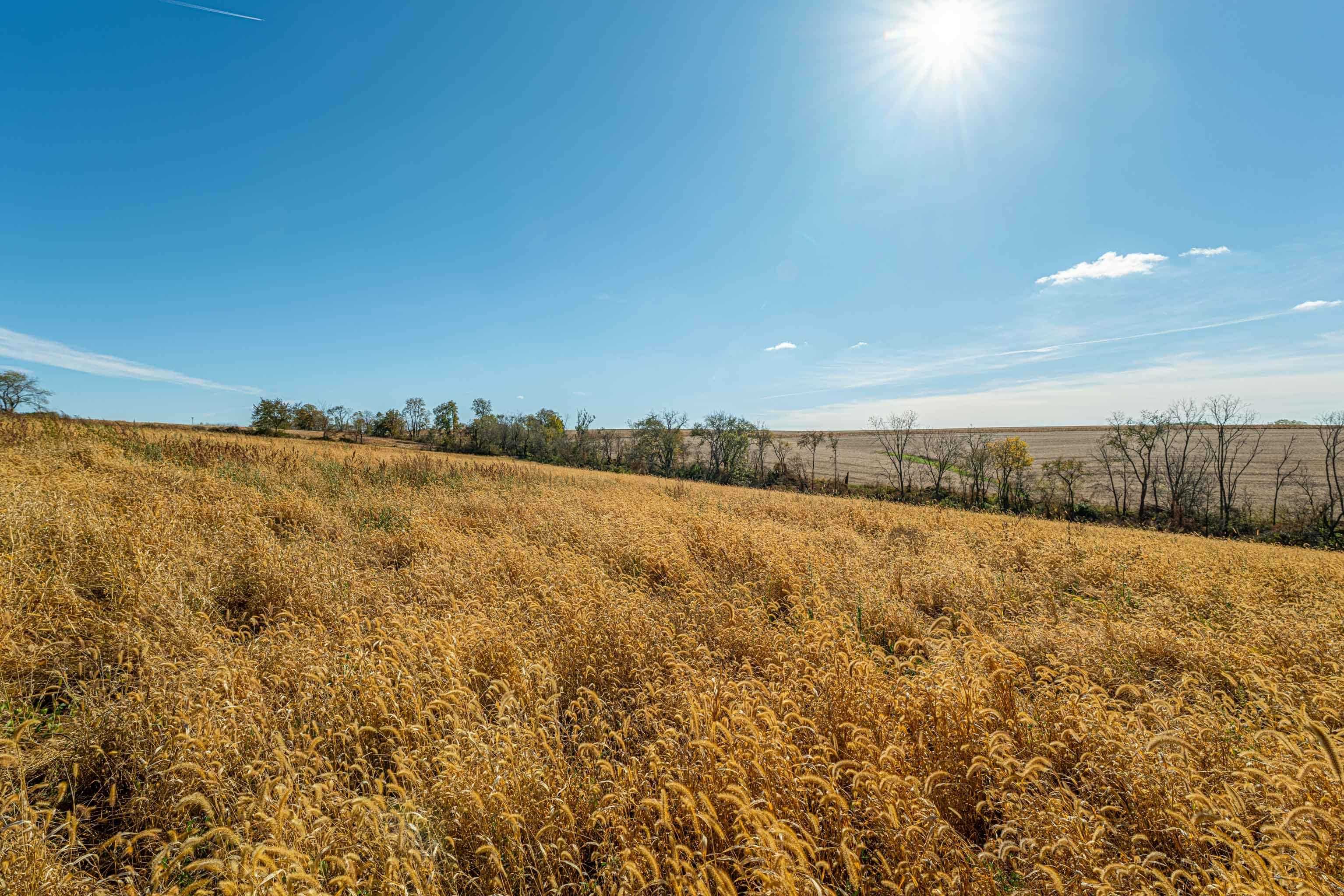 Lot 4 Prairie View Argyle, WI 53504 - Photo 43 of 54