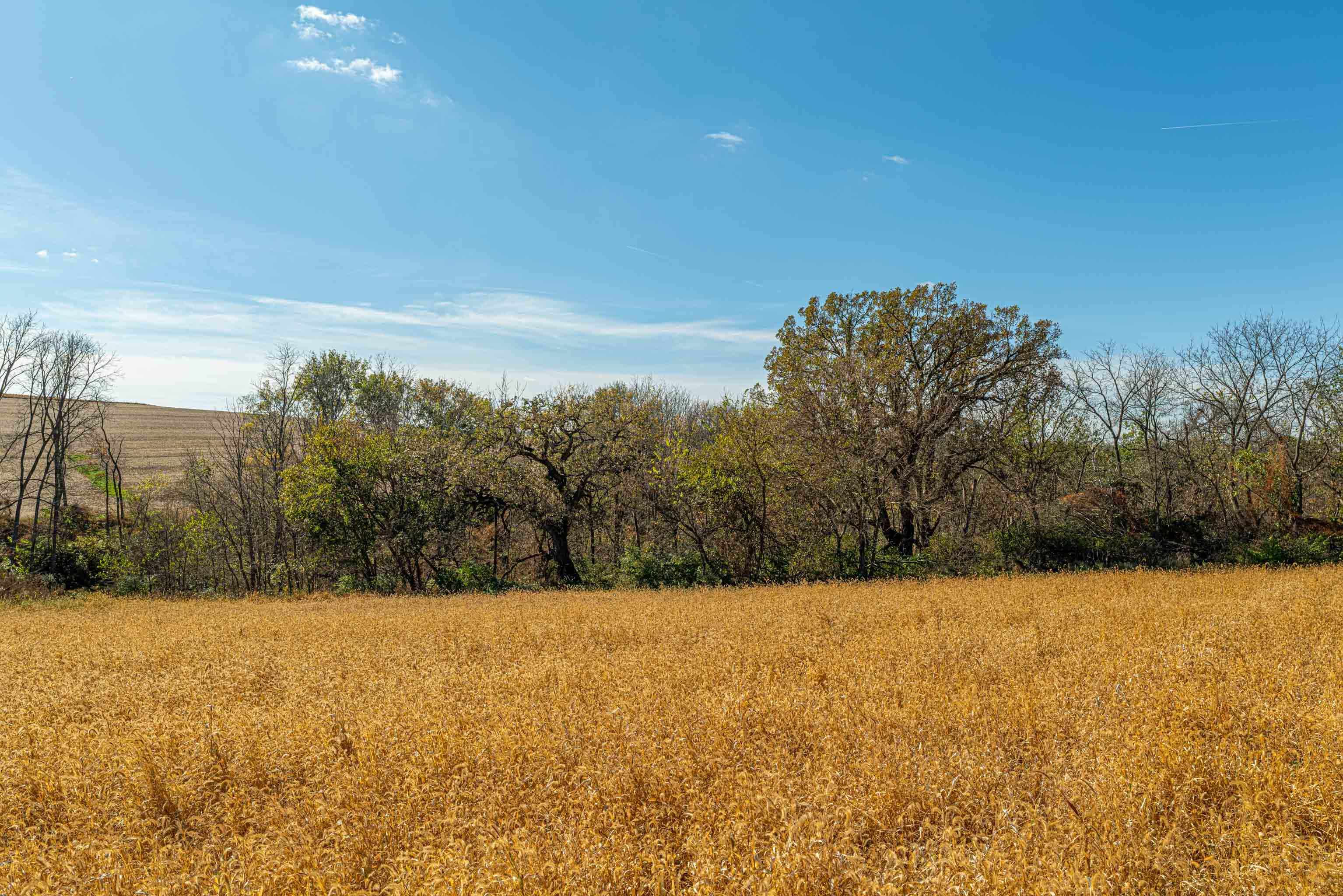 Lot 4 Prairie View Argyle, WI 53504 - Photo 45 of 54