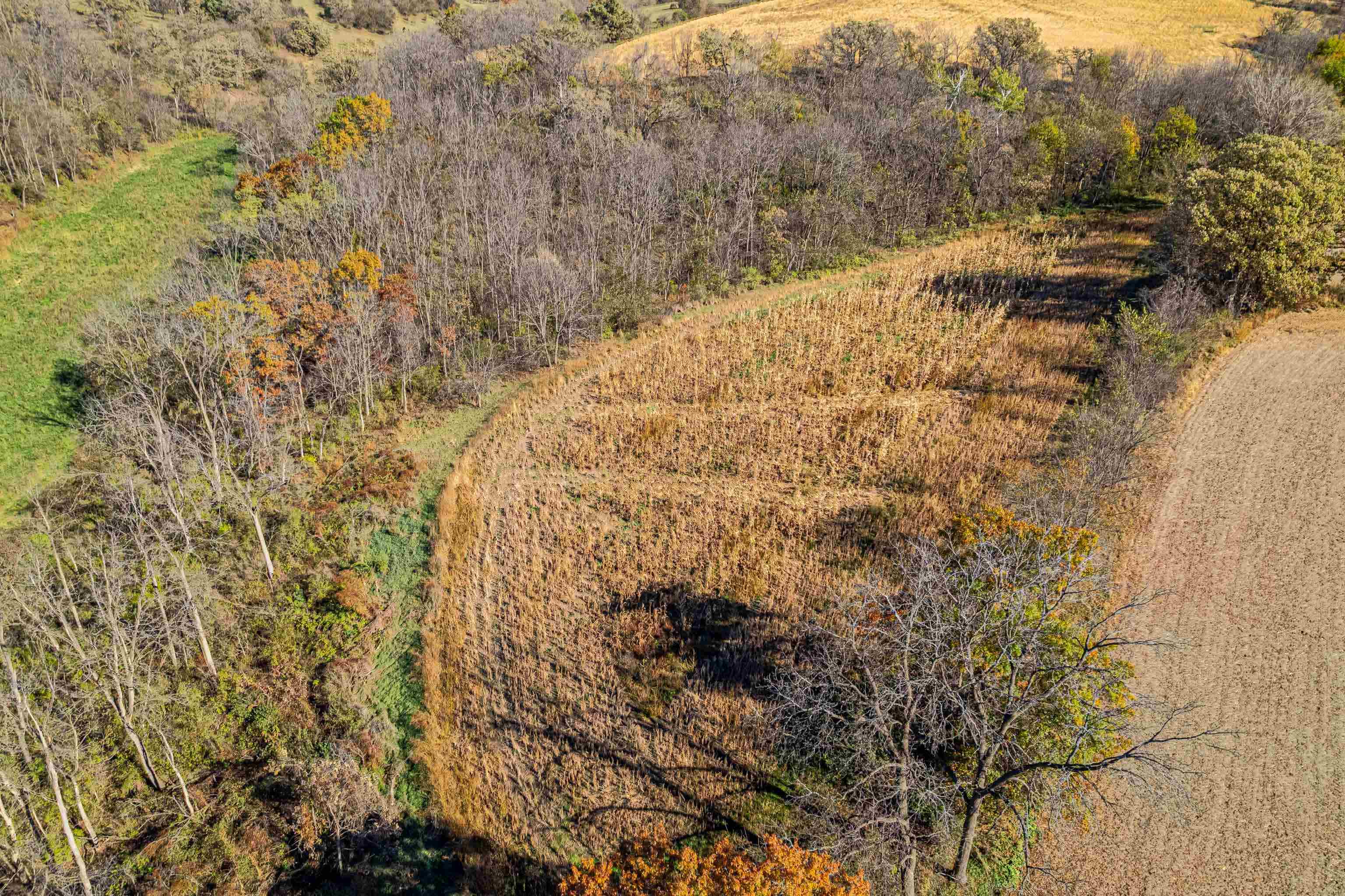 Lot 4 Prairie View Argyle, WI 53504 - Photo 49 of 54