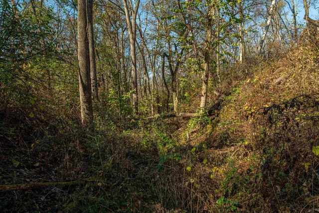 $389,900 | Lot 4 Prairie View, Argyle, WI 53504