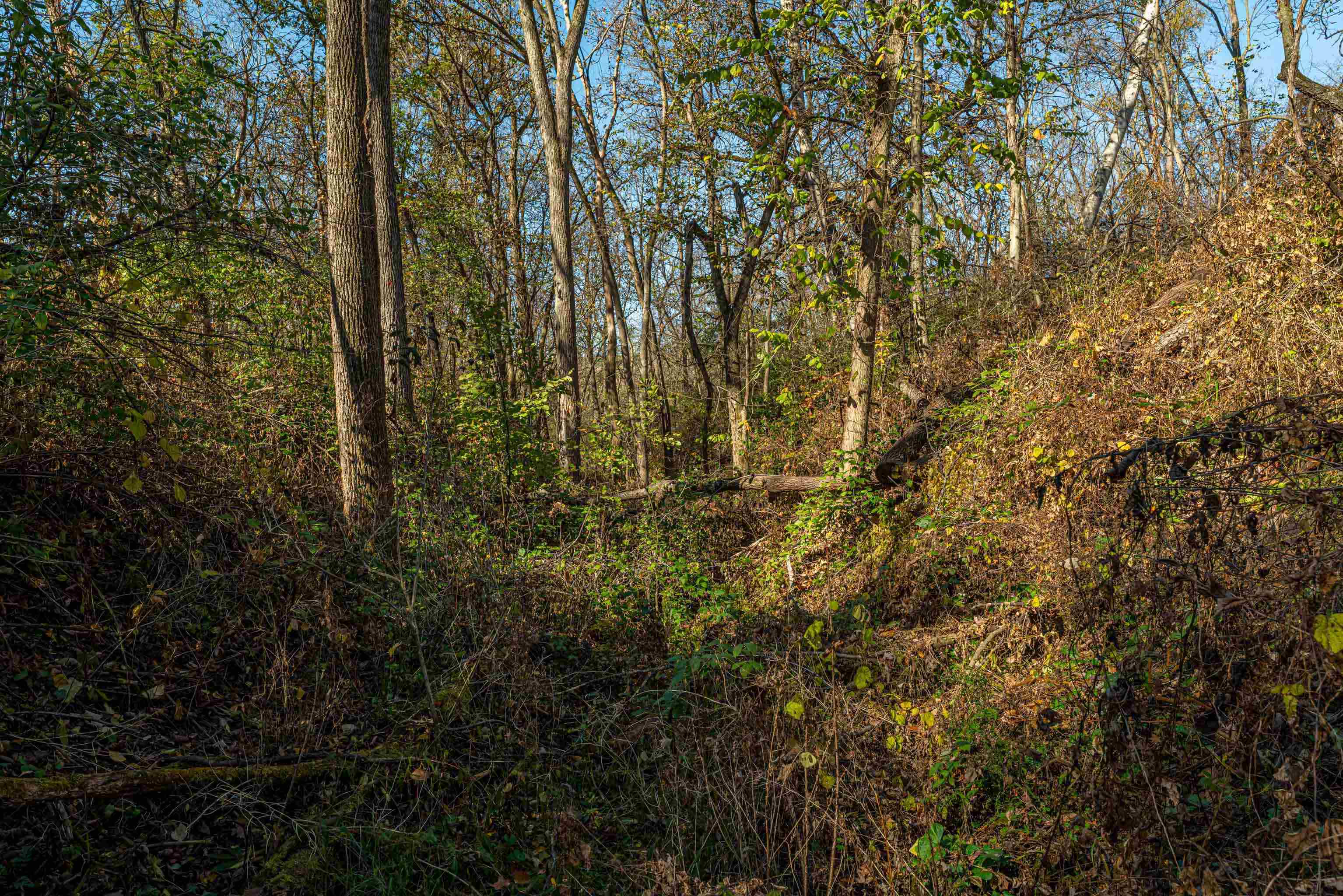 Lot 4 Prairie View Argyle, WI 53504 - Photo 51 of 54