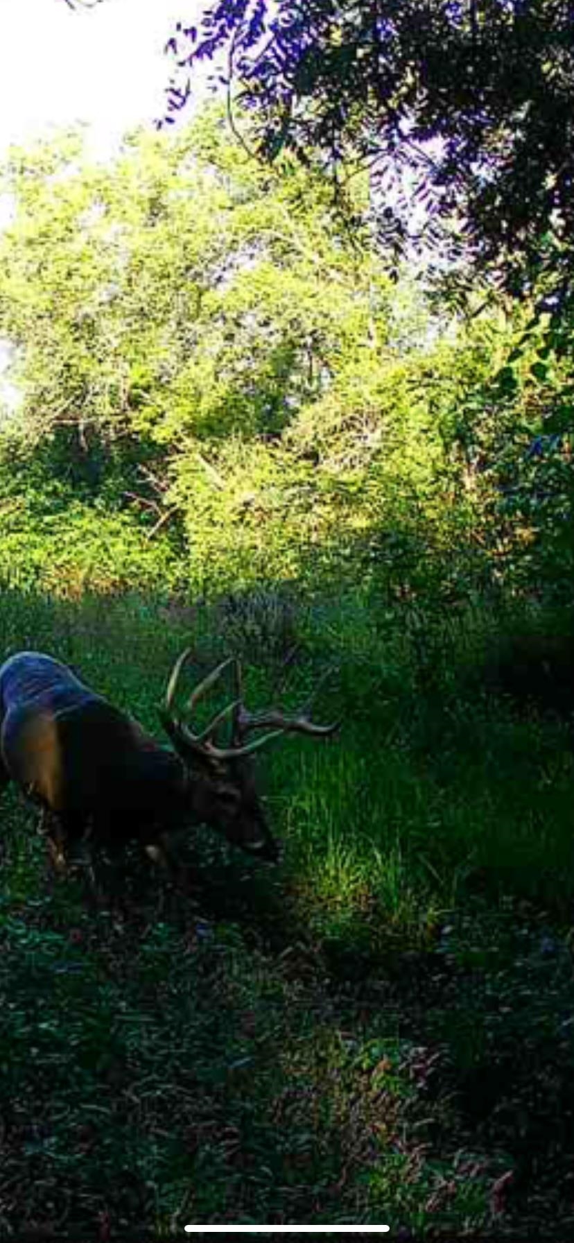 Lot 4 Prairie View Argyle, WI 53504 - Photo 52 of 54