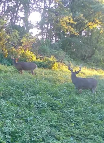 $389,900 | Lot 4 Prairie View, Argyle, WI 53504