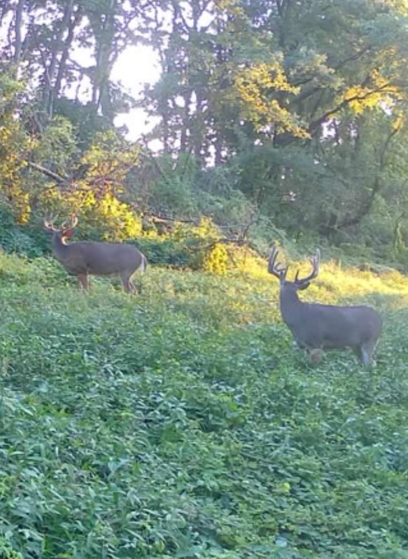 Lot 4 Prairie View Argyle, WI 53504 - Photo 53 of 54