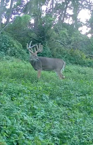 $389,900 | Lot 4 Prairie View, Argyle, WI 53504