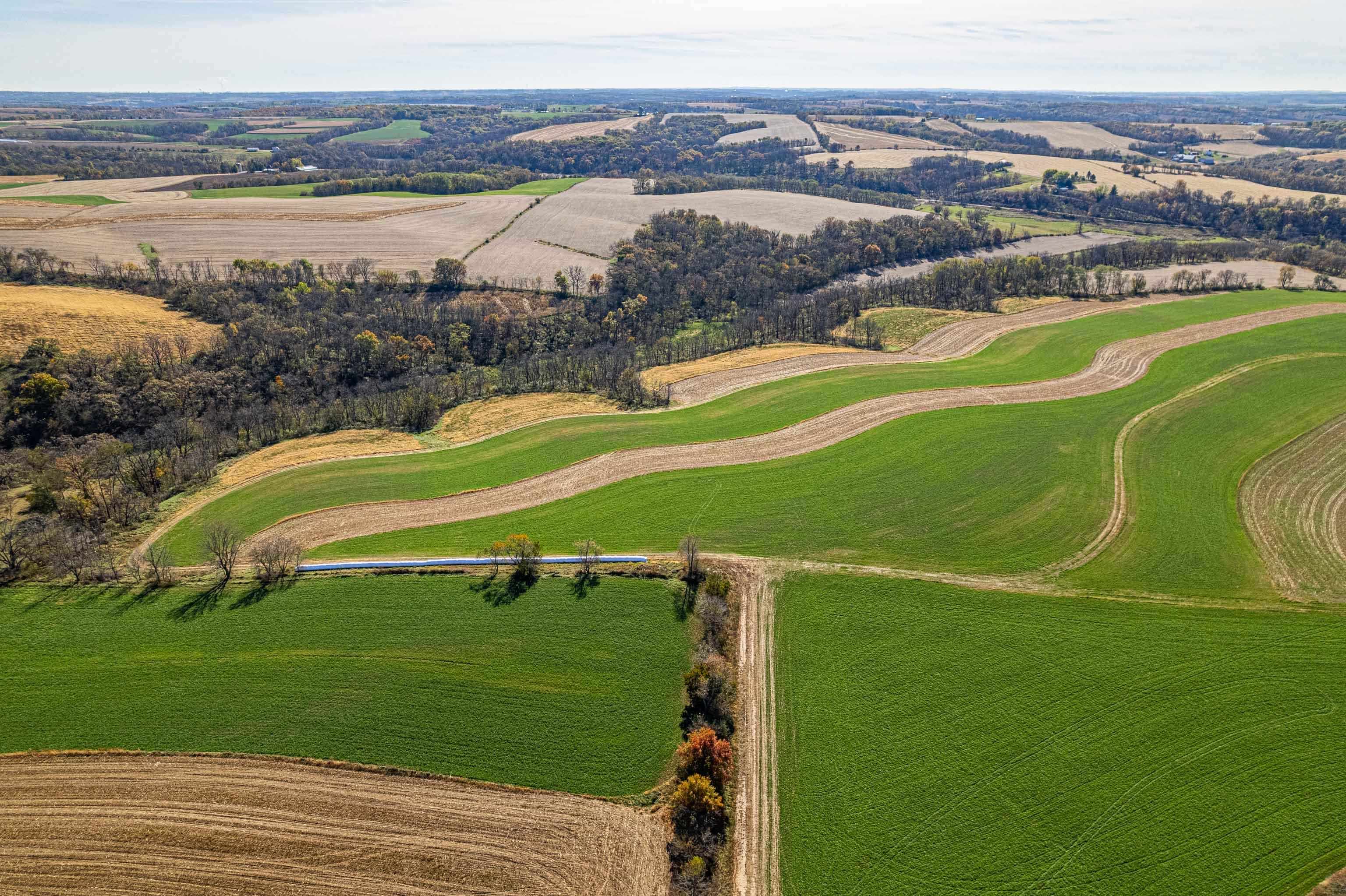 Lot 4 Prairie View Argyle, WI 53504 - Photo 6 of 54