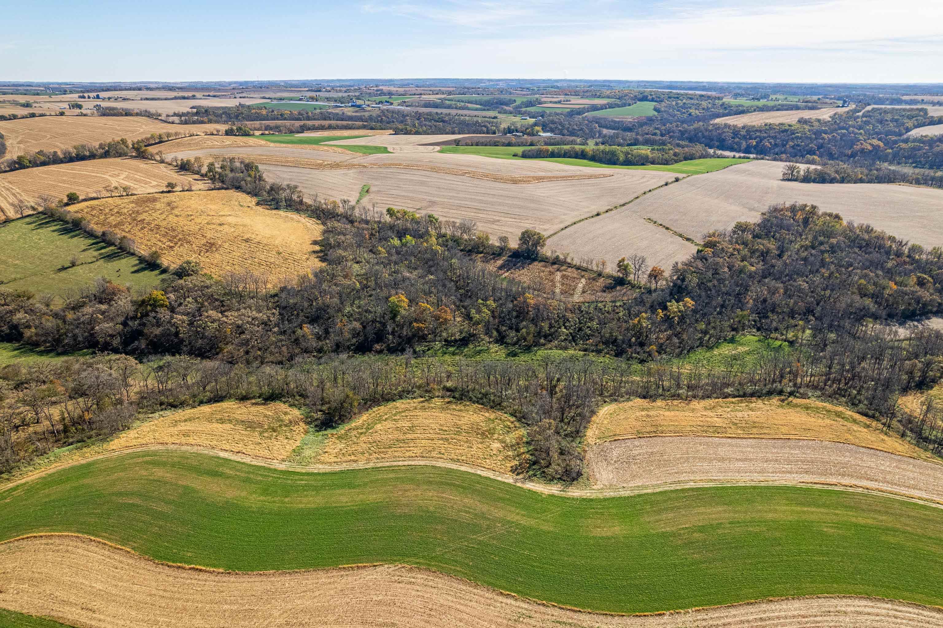 Lot 4 Prairie View Argyle, WI 53504 - Photo 9 of 54