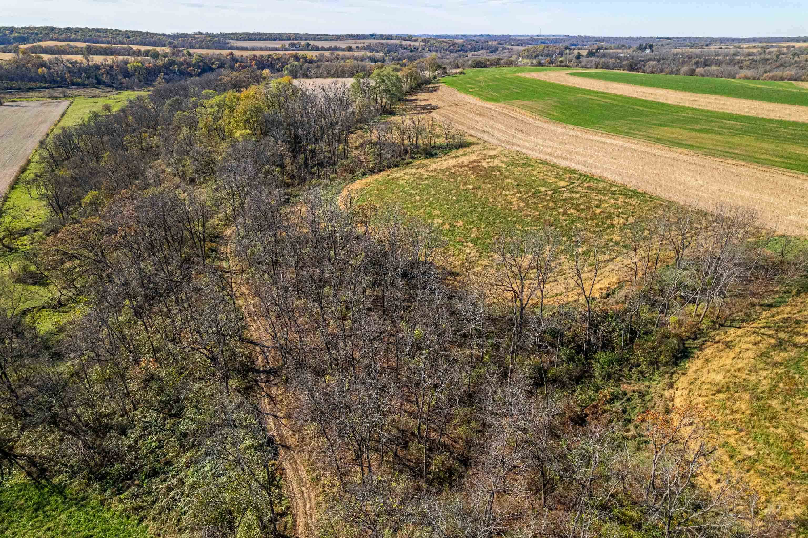 Lot 4 Prairie View Argyle, WI 53504 - Photo 10 of 54