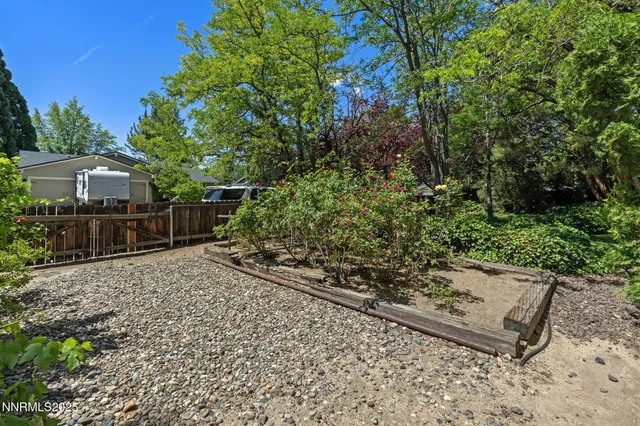 a view of a garden with plants