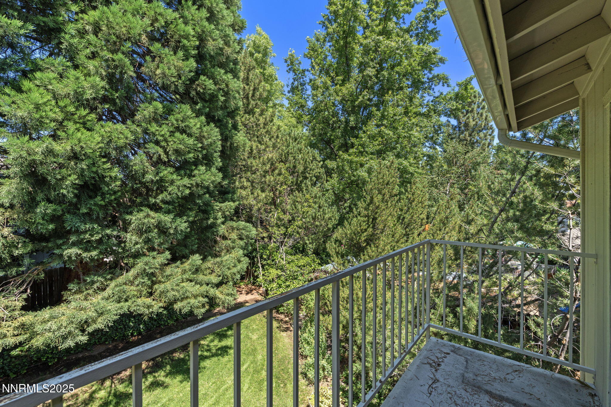 4899 Cool Springs Drive Reno, NV 89509 - Photo 40 of 41 a view of a balcony with a plant