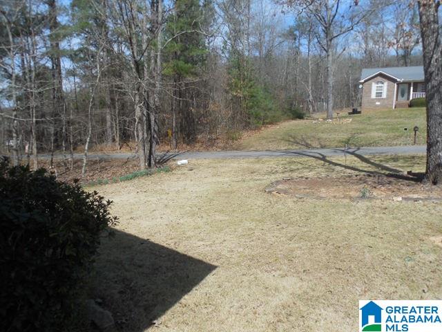 190 Helena Street Eastaboga, AL 36260 - Photo 19 of 27