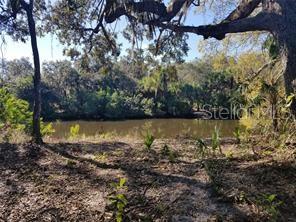 27401 Neaptide Drive Punta Gorda, FL 33983 - Photo 12 of 16 a view of a lake from a yard