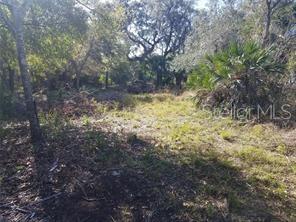 27401 Neaptide Drive Punta Gorda, FL 33983 - Photo 15 of 16 a view of yard covered with green space
