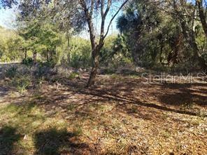 27401 Neaptide Drive Punta Gorda, FL 33983 - Photo 16 of 16 a view of a yard with a tree