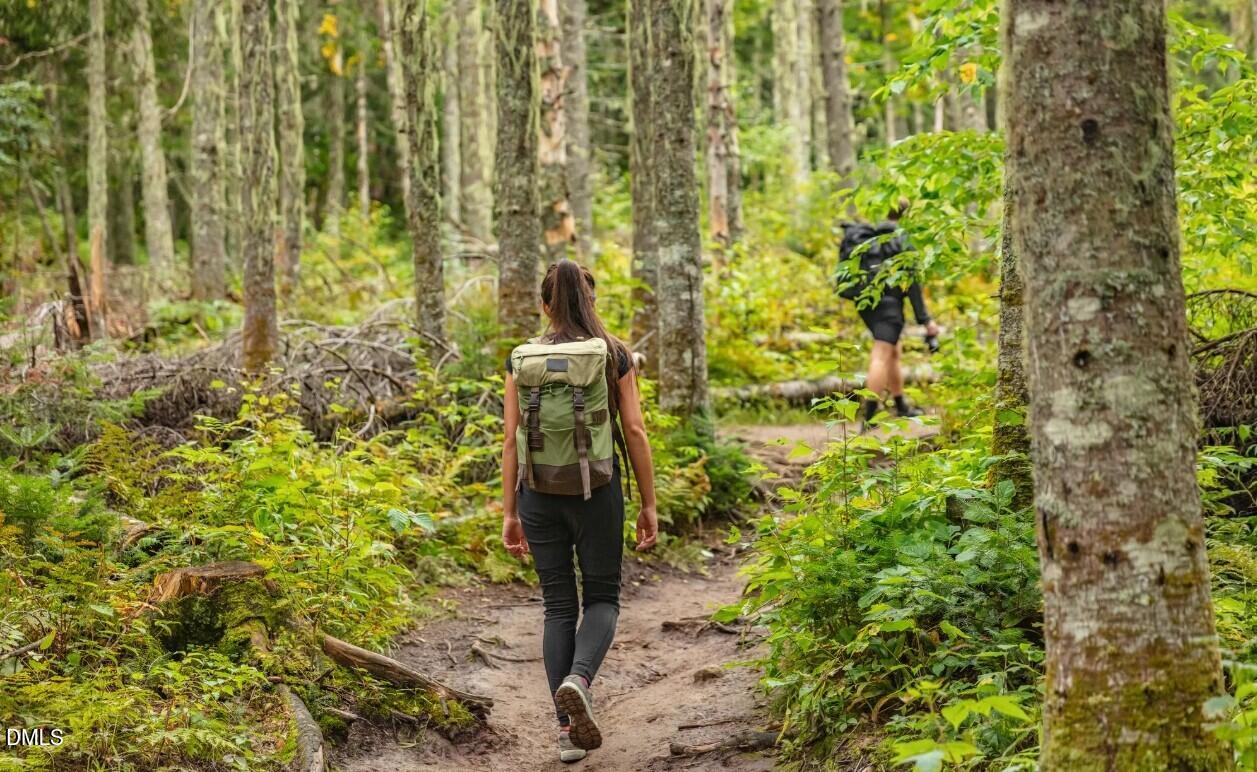 74 Floating Brg Trail Lillington, NC 27546 - Photo 5 of 7 a close up of a plant in a garden