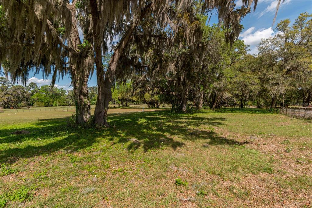 6124 Northwest 160th Street Reddick, FL 32686 - Photo 21 of 39