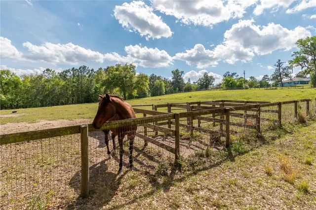 $600,000 | 6124 Northwest 160th Street, Reddick, FL 32686