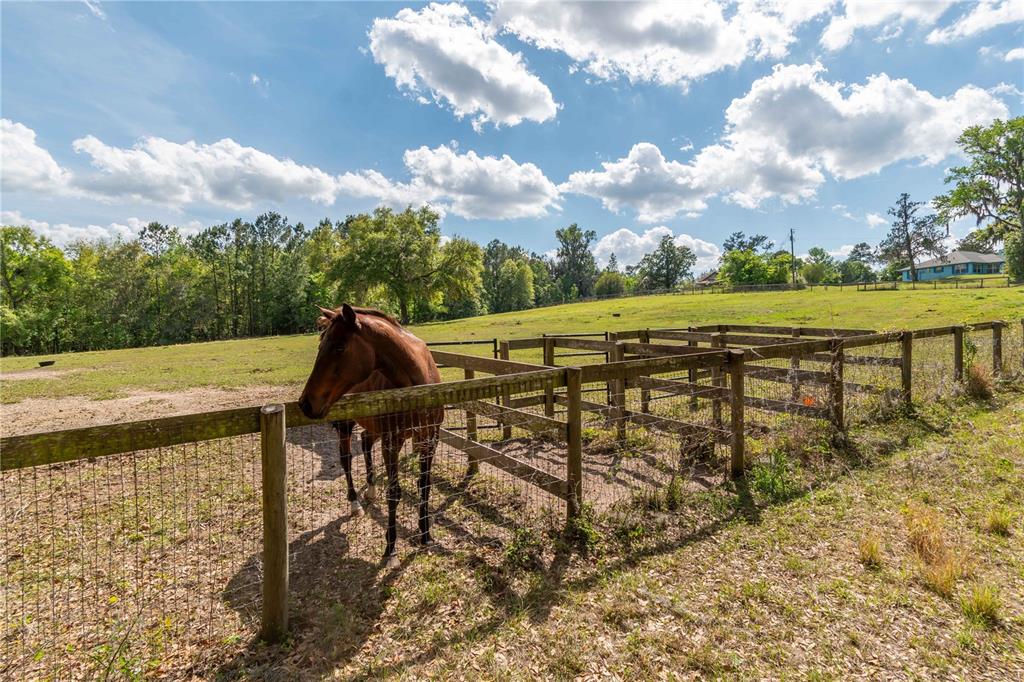 6124 Northwest 160th Street Reddick, FL 32686 - Photo 23 of 39