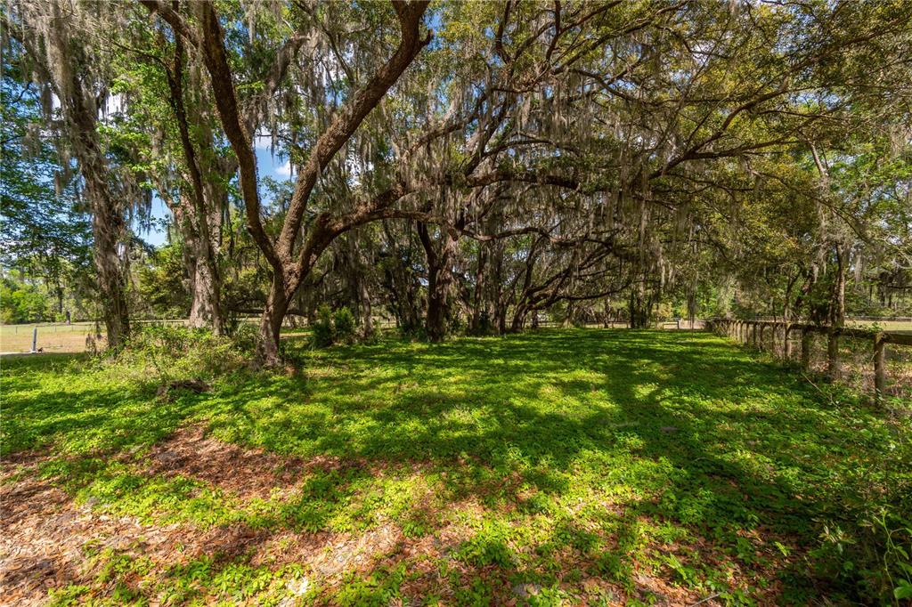 6124 Northwest 160th Street Reddick, FL 32686 - Photo 24 of 39