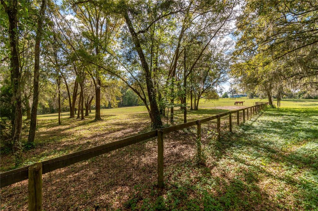 6124 Northwest 160th Street Reddick, FL 32686 - Photo 29 of 39