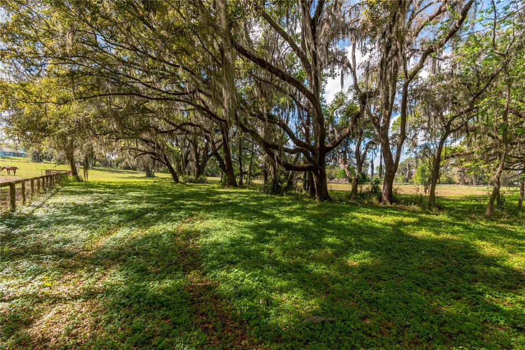 6124 Northwest 160th Street Reddick, FL 32686 - Photo 30 of 39