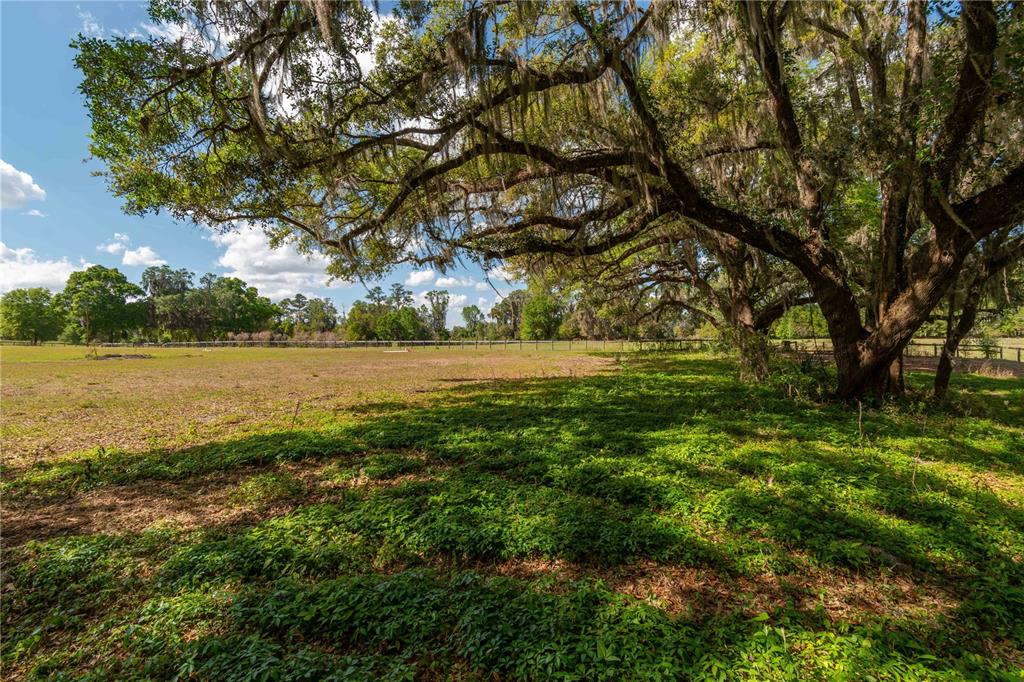 6124 Northwest 160th Street Reddick, FL 32686 - Photo 31 of 39