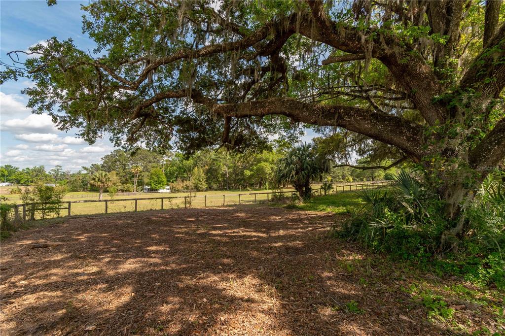 6124 Northwest 160th Street Reddick, FL 32686 - Photo 34 of 39