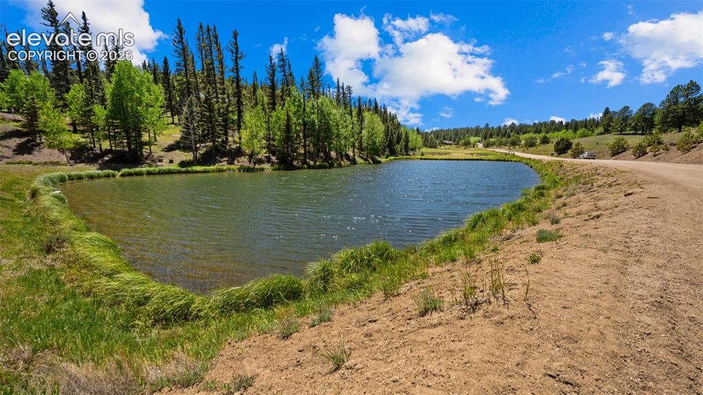 506 Ridge Road Divide, CO 80814 - Photo 41 of 50