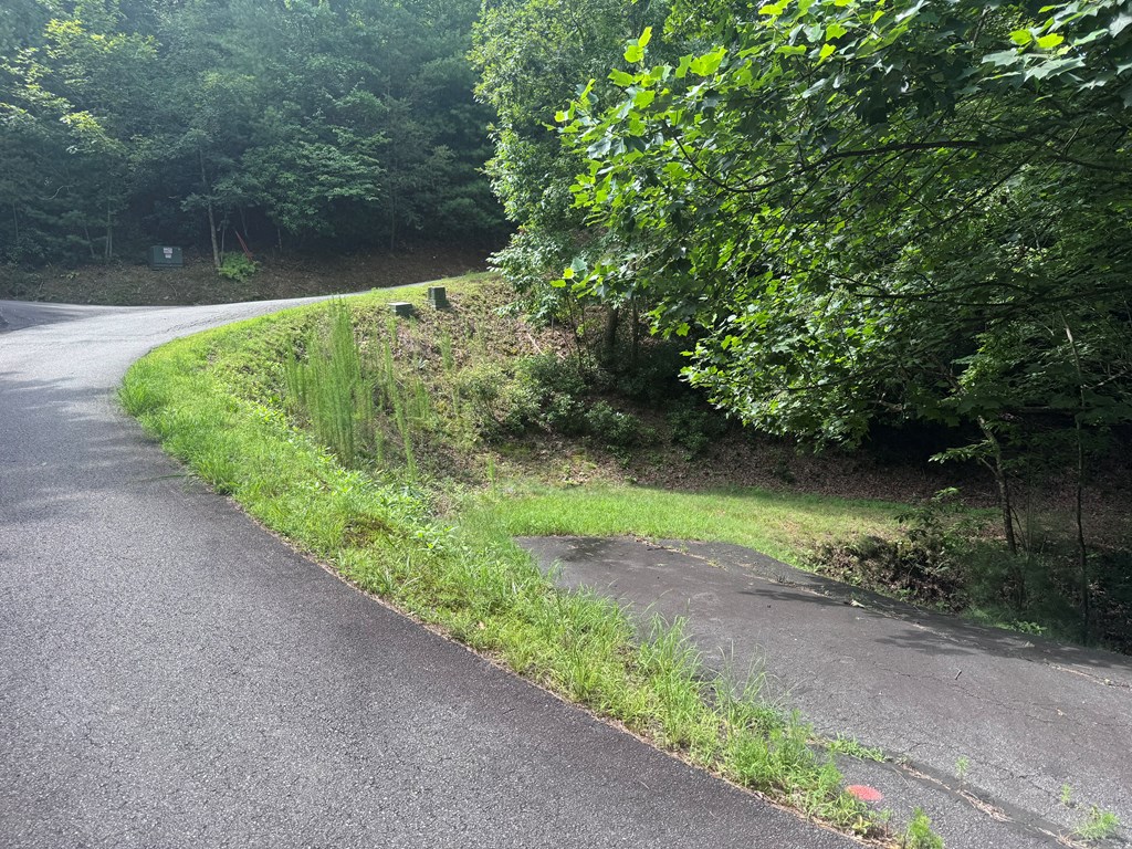 39 Fiddlers Way Brasstown, NC 28902 - Photo 7 of 7