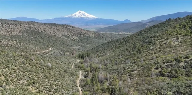 a view of a dry yard with mountains in the background