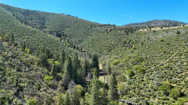 a view of a garden with a tree