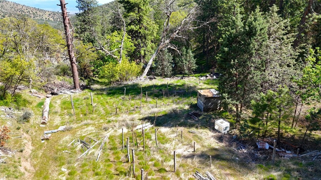 40 Scarface Road Gazelle, CA 96034 - Photo 13 of 52 a view of a garden with a tree