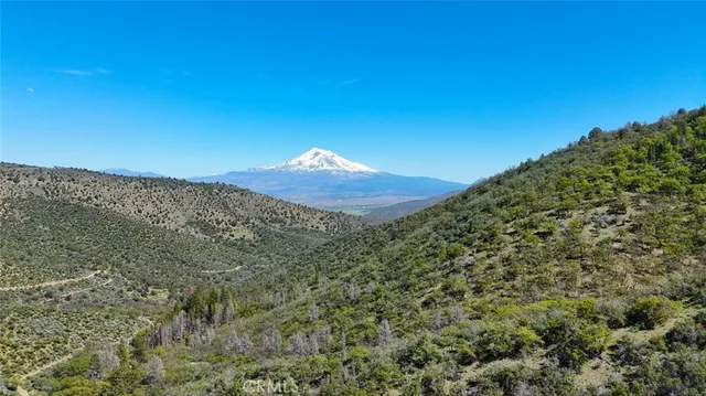 a backyard of a house with large trees